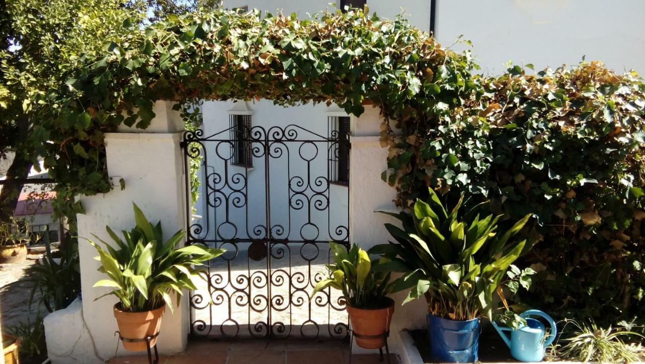 Don Claudio Casa de hóspedes Grazalema Exterior foto