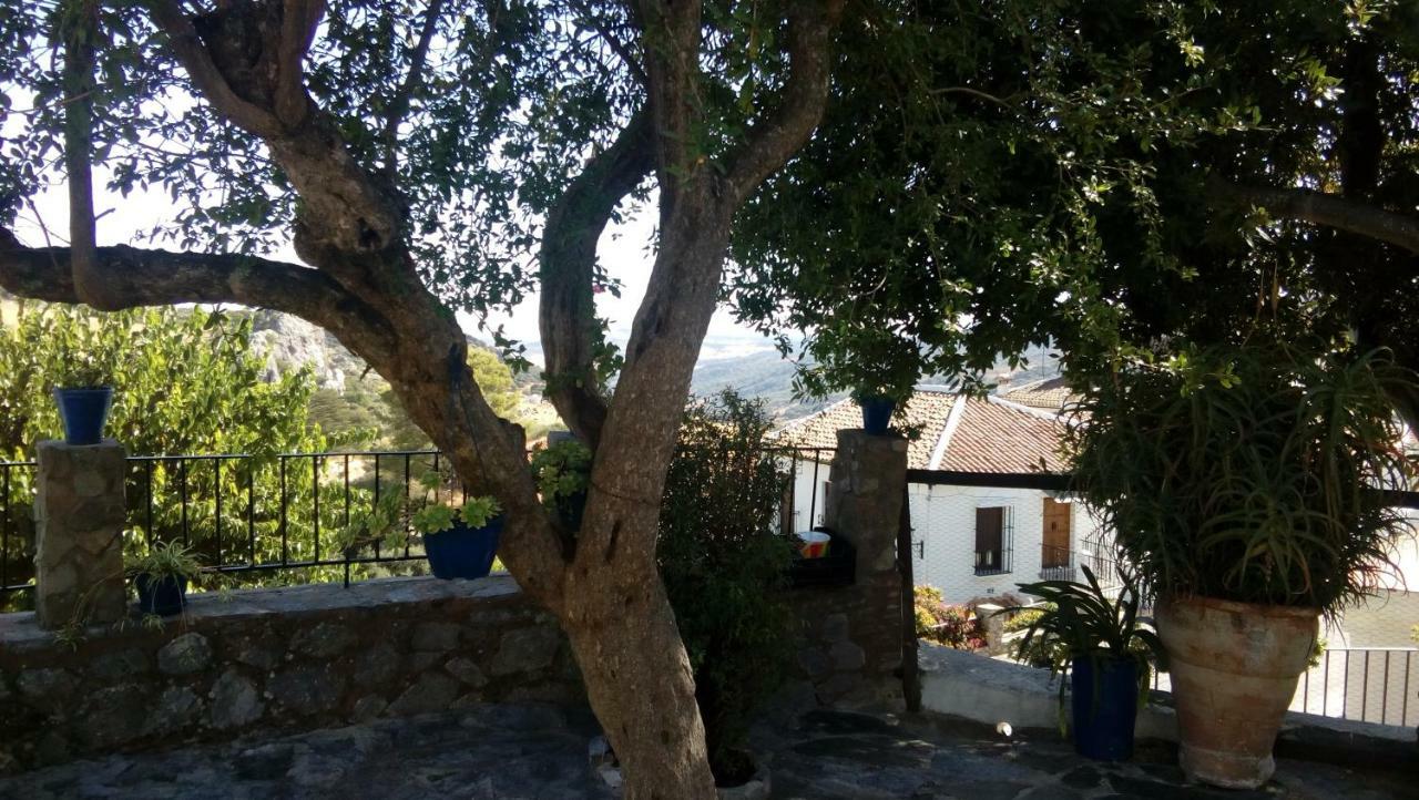 Don Claudio Casa de hóspedes Grazalema Exterior foto
